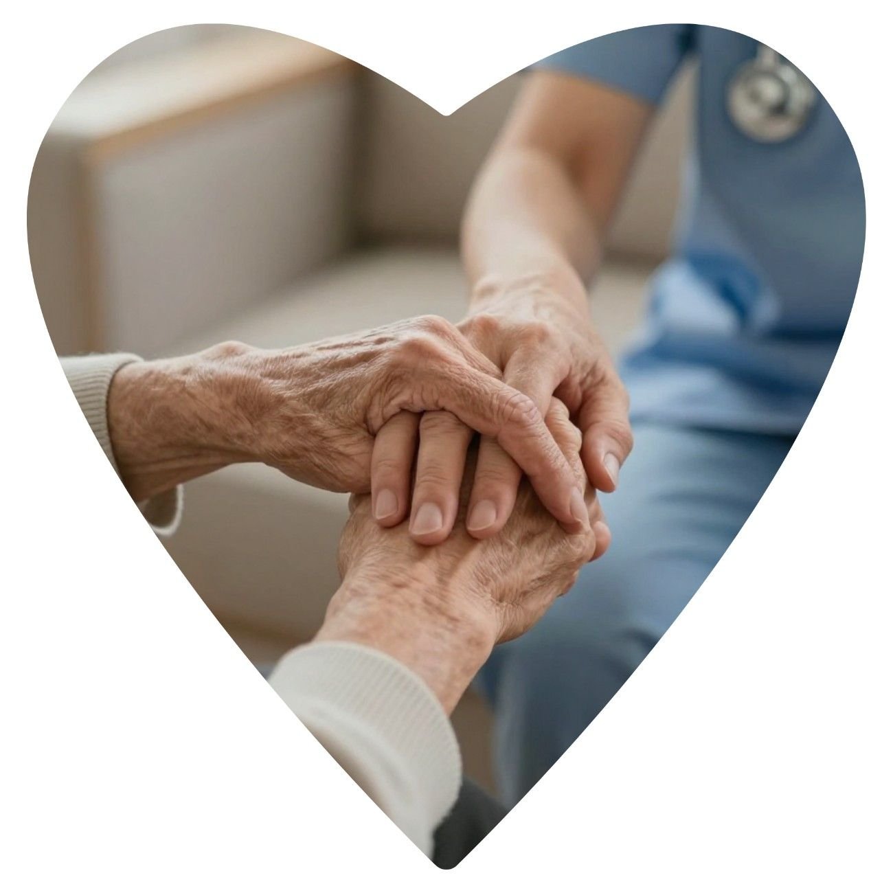 True Care Home Nursing Care for Seniors